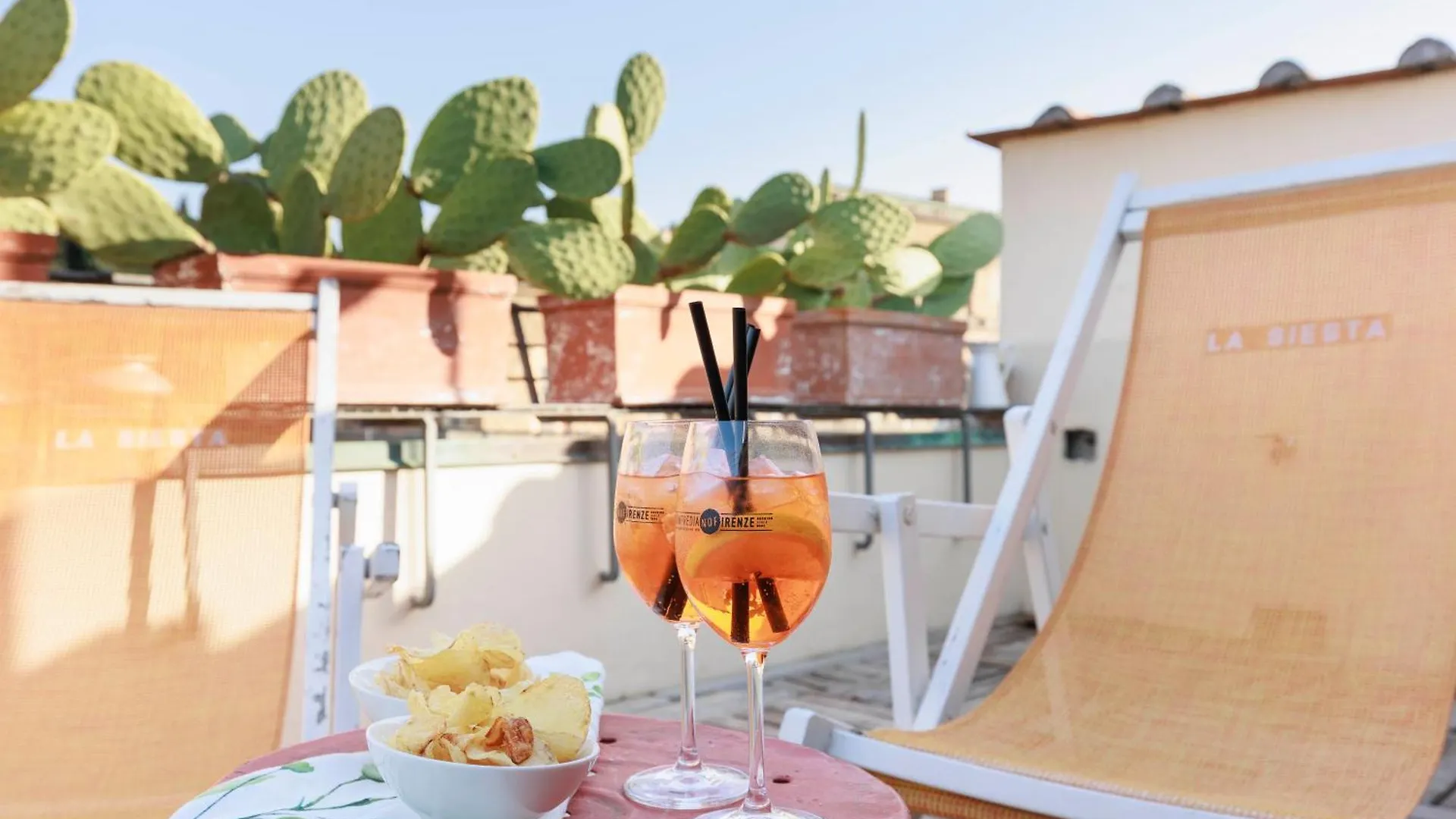 Pitti Secret Rooftop Florence Apartment